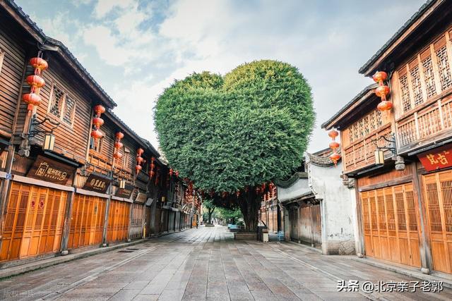 冬季旅游，带老人出游指南