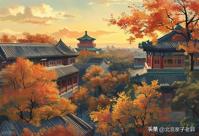 北京秋日Citywalk全攻略｜本周银杏黄金路线追秋指南