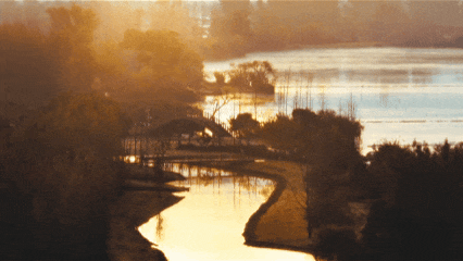 “冬季暖阳·凉山不凉”文旅季：雾漫邛海铺水墨 风拂湿地染青纱