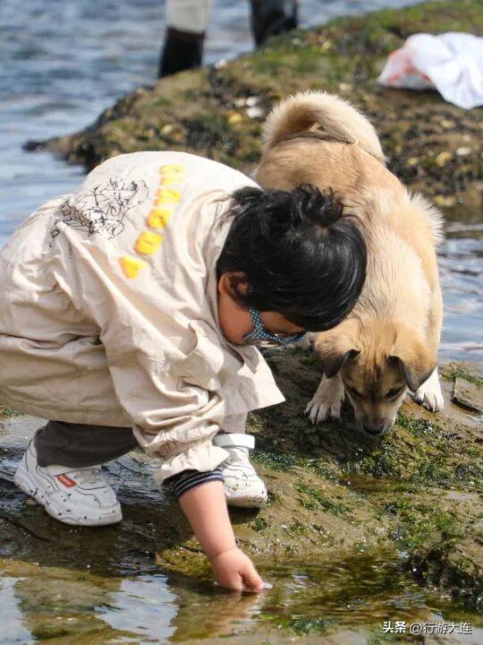 这三个小众海滩才是今秋最出片的滨海秘境！
