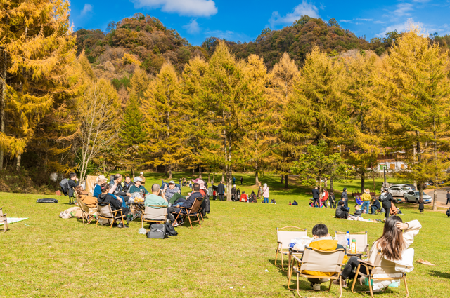 广元不远 周末优选 | 秋色短暂，曾家山赏秋路线来啦！