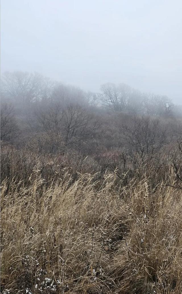 一脚踏进雪与秋的交界处，京郊深山里藏着深秋最温柔的惊喜！​