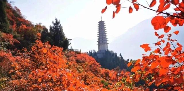 三小时郑州直达！巫山三峡龙脊徒步和漫山红叶一起向你发出邀约！