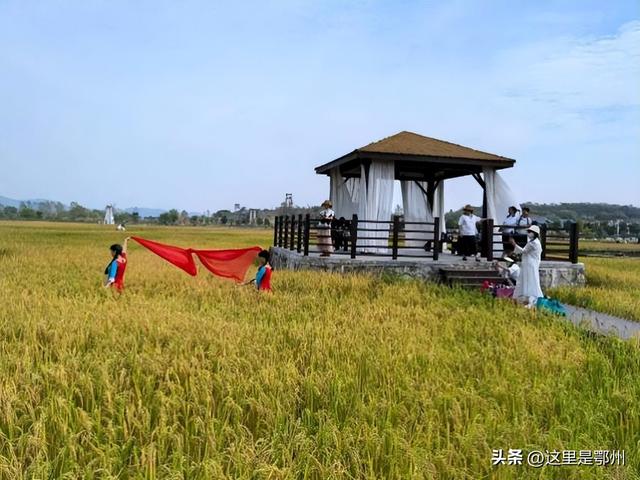 上新！鄂州新增一座“农场乐园”