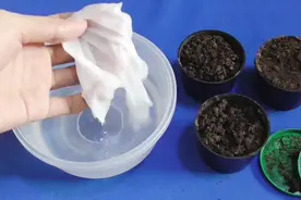 钓鱼没用完的蚯蚓别扔，一张纸巾可保鲜活几周，干净卫生不占地方图片