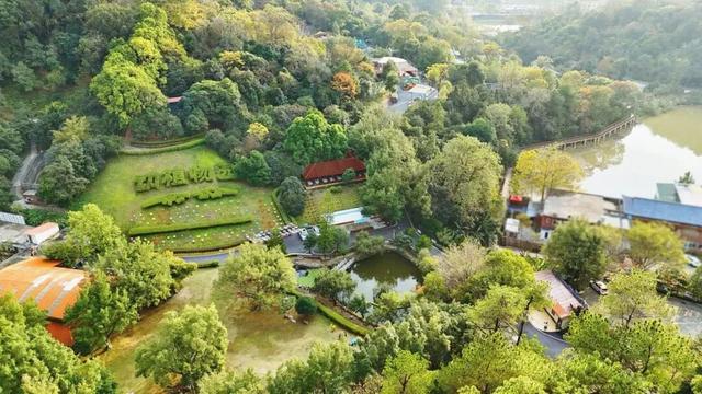 别卷作业了，卷卷大自然！韶关秋日研学，让娃成为朋友圈最酷的崽