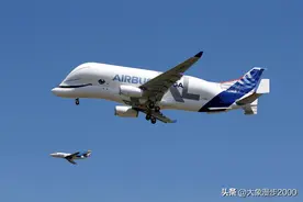憨态可掬的"大白鲸"XL加大号超级运输机图片