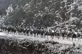 中越战争：开战7天，41军一个师饿了4天，指挥部让前线自行解决图片