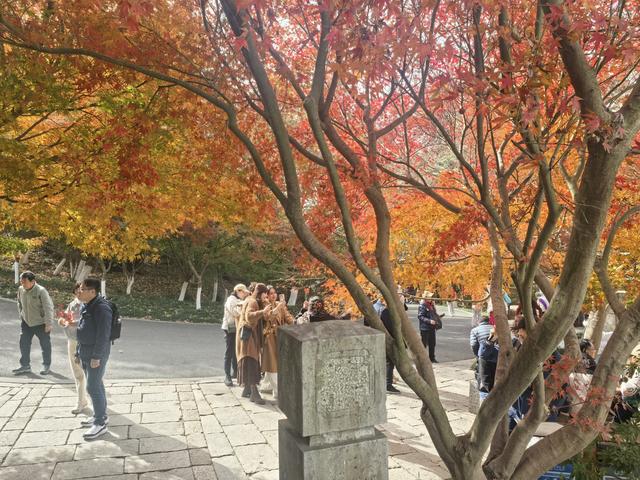 南京栖霞山一日徒步，游千年古刹，看漫山红叶