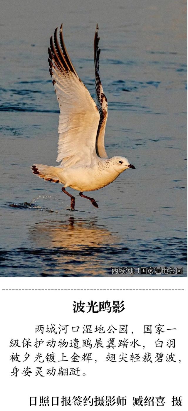 承包美与浪漫！在日照这些地方一键出片！