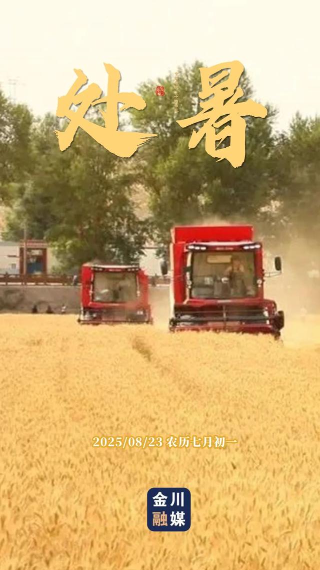 原创海报 | 处暑至 秋意浓！金川融媒邀您共赏初秋之美