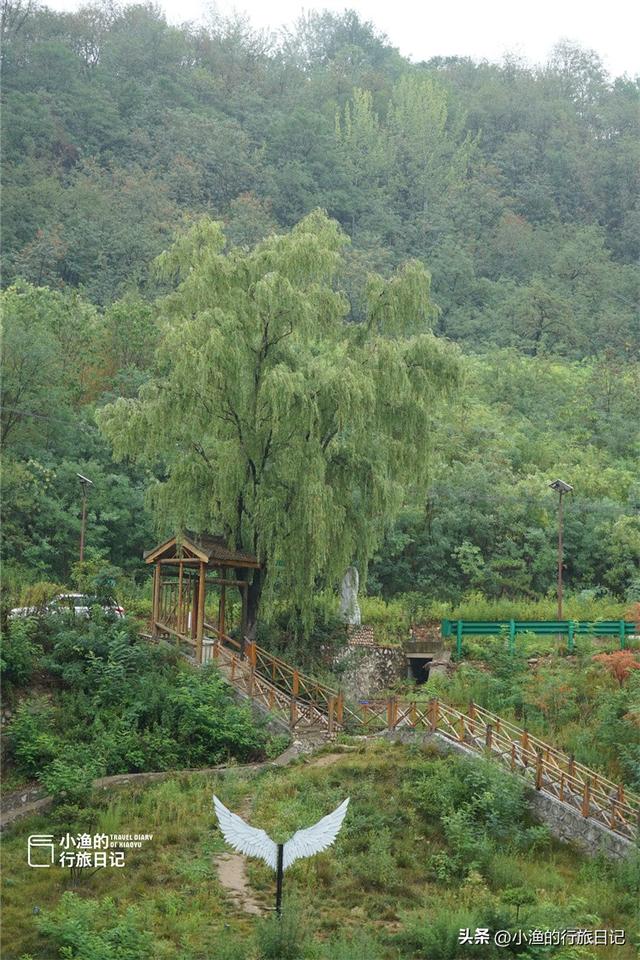 西安秦岭深处惊现“绿野仙踪”！这片竹海秘境又美又仙，你去了吗