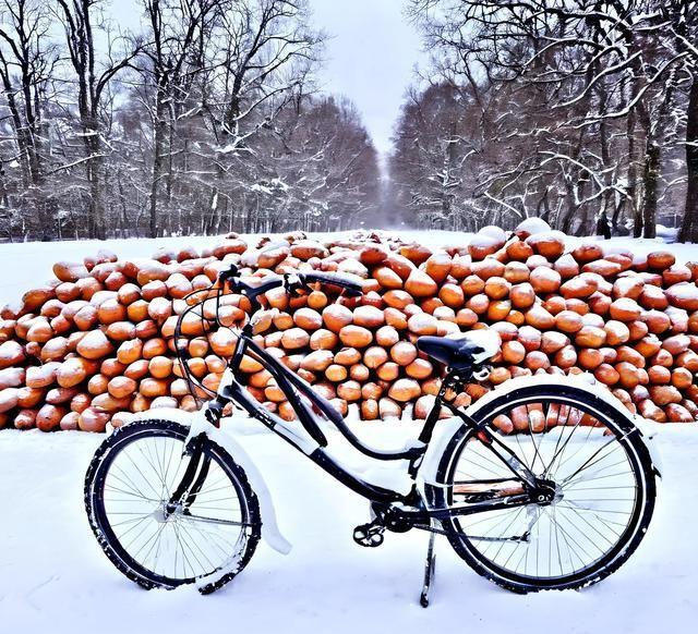 “超级冷冬”是真是假？专家一句话点破：今年冬天最可怕的不是冷