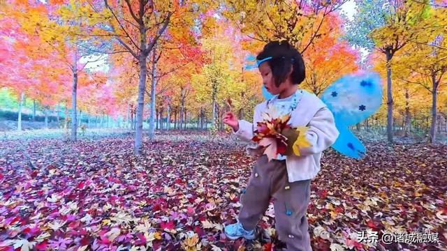 诸城秋浓，如诗如画！