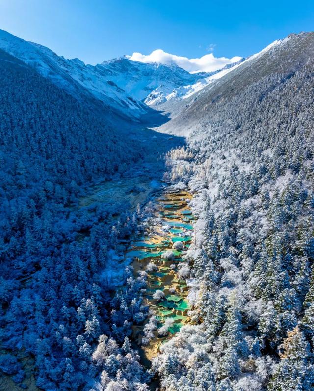 四川人盼初雪的心情谁懂！