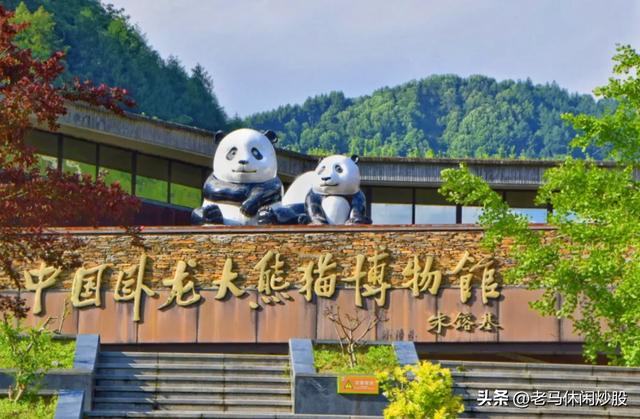 我带着相机，在耿达避暑