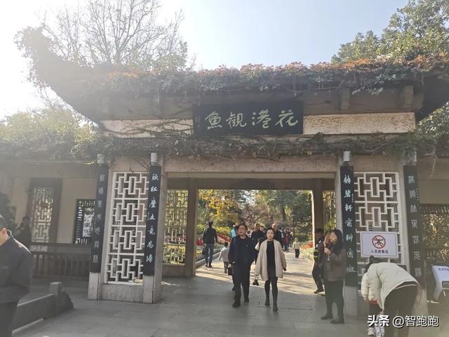 2025 杭州西湖 City Walk 留下足迹