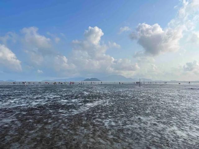 珠海赶海地图出炉！这些宝藏海滩，火爆了！
