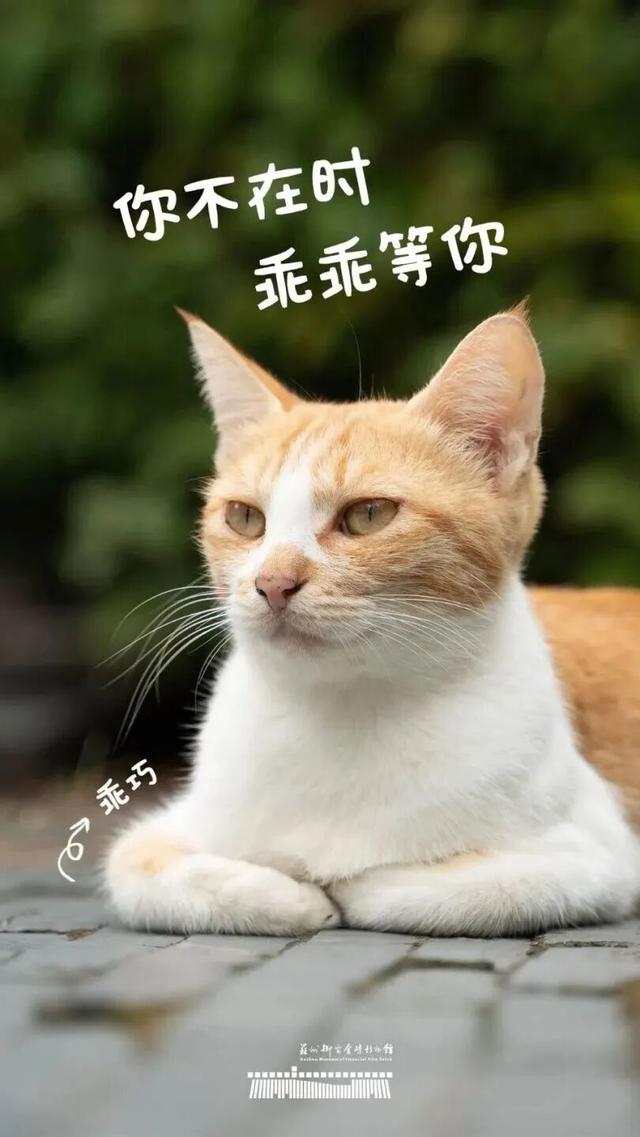 “金秋相城 Chill Travel”线路公布！