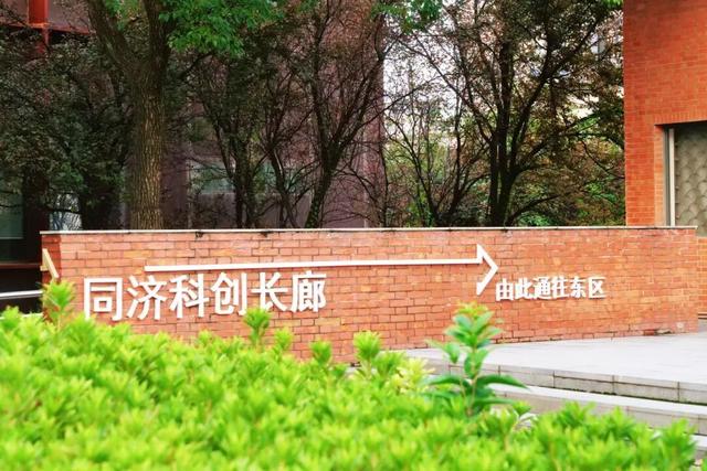 国庆去哪玩？上海成“热门选择”，这所大学值得打卡！