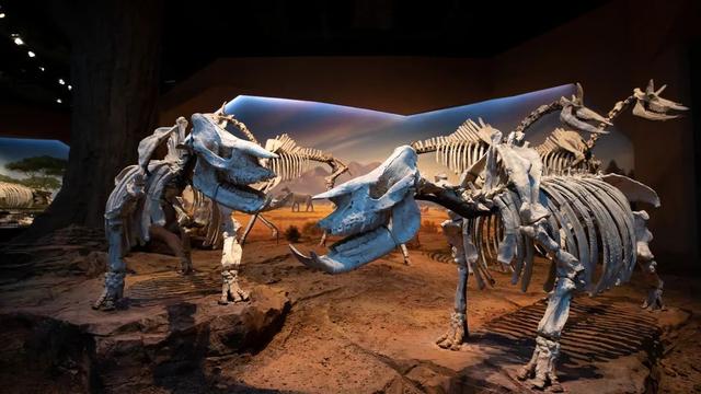 秋假来了！佛山这些特色场馆，带娃走起