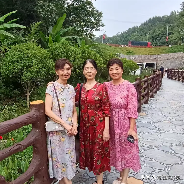 乙巳花坪避暑集锦