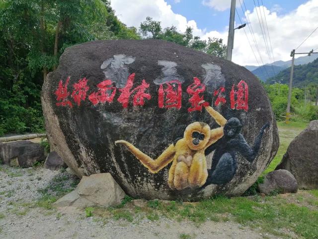 疫情下的海南初遇：被陌生美女的热情暖到泪目！