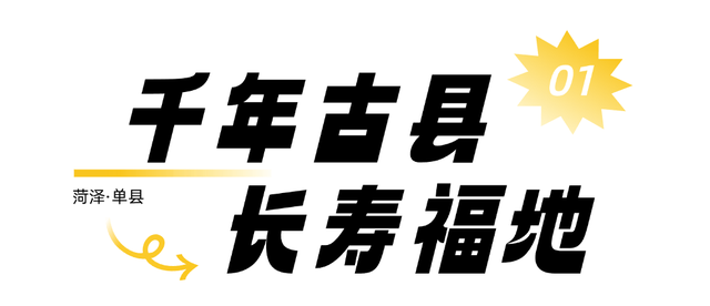 奔“县”山东！单县，不止羊汤