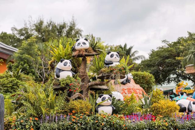 香港海洋公园，缆车俯瞰山海，探梦幻水族馆，假日亲子游的好去处