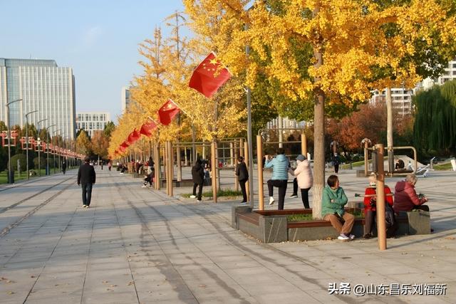 偶遇贾江虹·刘文顺先生来访