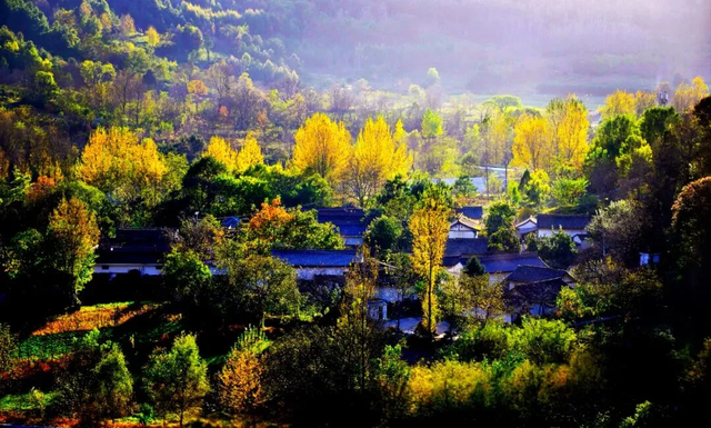 警告！深秋的徽县，千万别出门！因为……