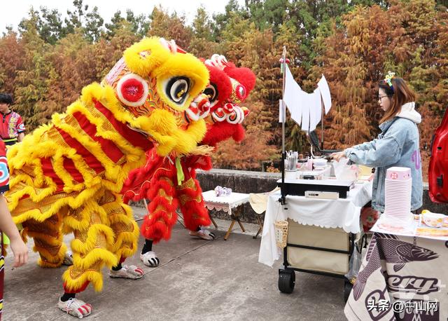 日间赏景夜间狂欢，在中山港口落羽杉林邂逅美拉德市集