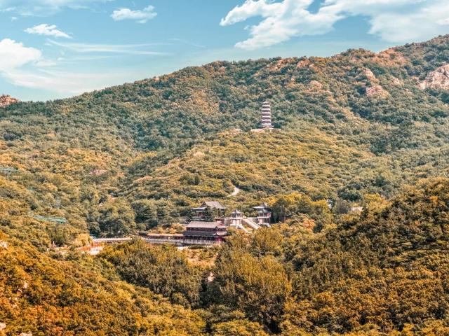 一眼惊艳！烟台这座小城最近太火了