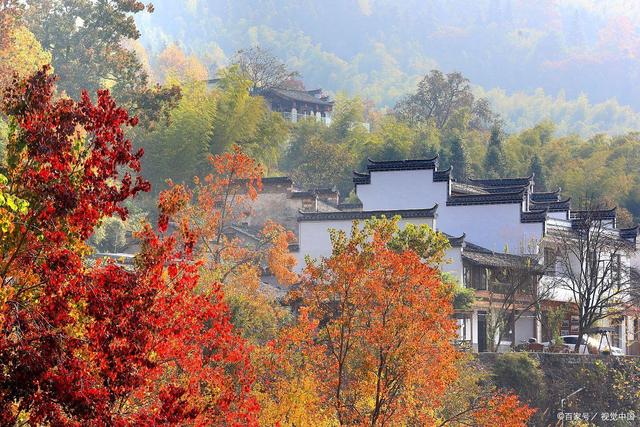 皖南山区最美最迷人的秋色，说它是神仙画的一点都不为过