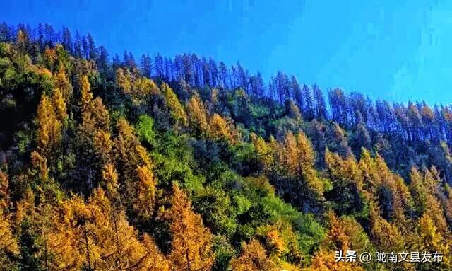 最美秋色：多彩邱家坝