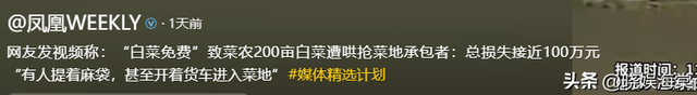 200亩白菜遭哄抢后续：损失超百万，菜农发声，更过分的还在后面