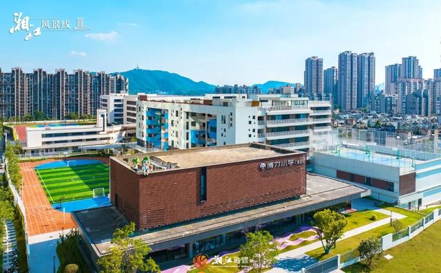 这样的桐梓坡，你一定没见过！