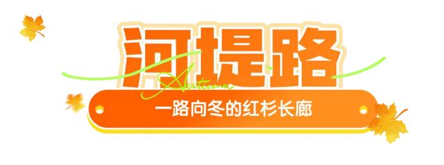 西安城区4个绝美秋景打卡地！