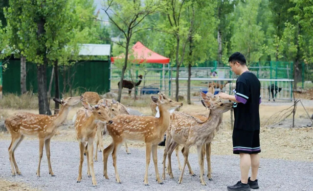 临沂春假旅行指南，请查收