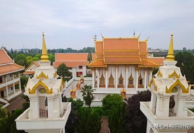 山东没想到，河北也没想到，现在的河南，怎么突然这么火了！