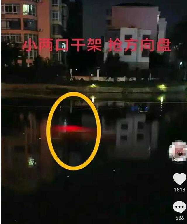 辽宁一对情侣驾驶奔驰车时吵架，女子抢夺方向盘致坠湖，71岁老人3分钟内救两人，女子身份曝光