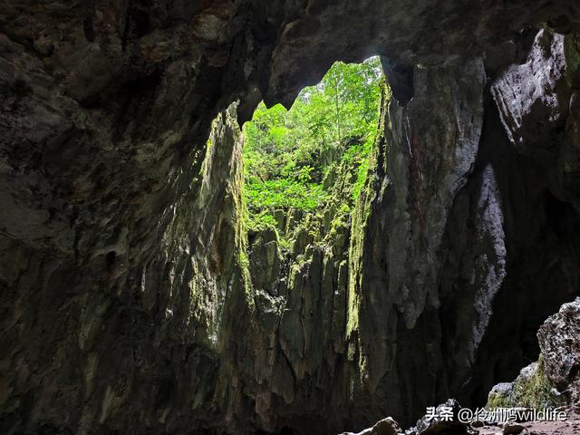 马来西亚(29)砂拉越州③姆鲁山清水洞·风洞