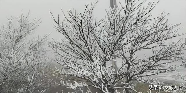 冬天来湖南，至少有4种玩法