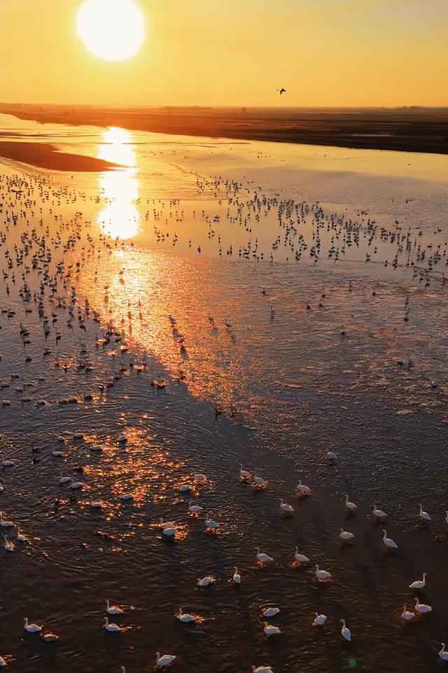 好看又好玩！本周日，呼和浩特有大型活动→