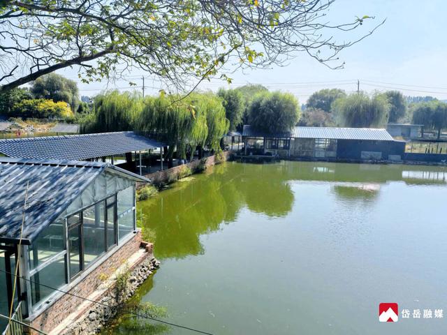 黄前镇：垂钓赏景品鲜鱼 休闲打卡乐无穷