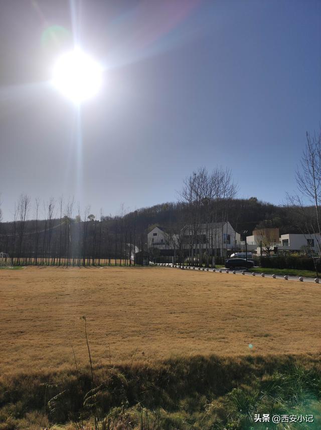 赏柿子不需要去远方，西安这里1小时可达，红柿配村舍，人少景美