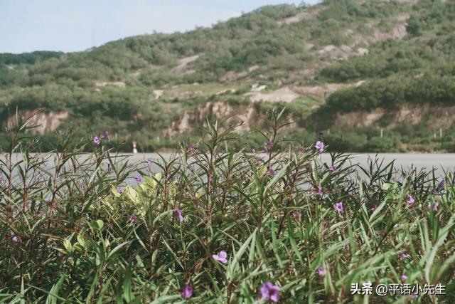 福建第一门户，应识古镇旧模样丨暴走福州