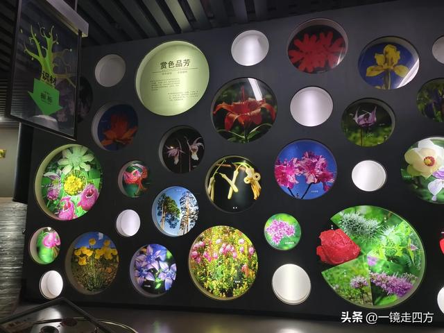 通化市自然博物馆