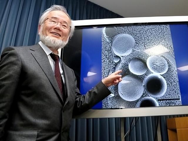 日本科研的“甜蜜烦恼”：诺奖近目标，人才制度亮红灯