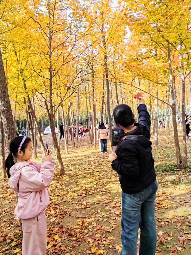 “枫”狂派对，现在进行时……